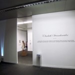 Elisabeth Steinschneider presents
